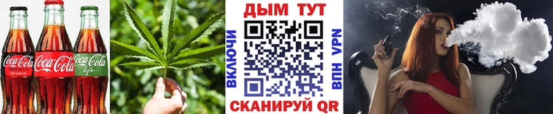 Купить где  Мосальск  Canna-Cookies конопля 
