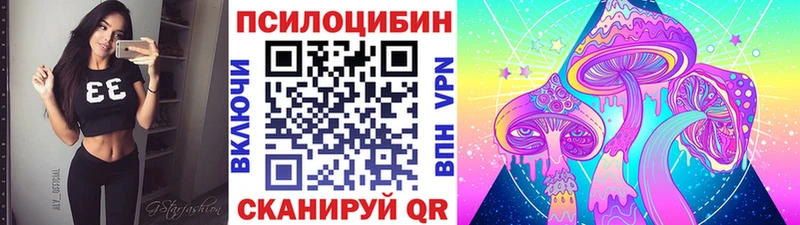 Псилоцибиновые грибы Cubensis  Купить где  Мосальск 